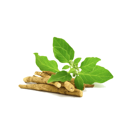 ashwaganda