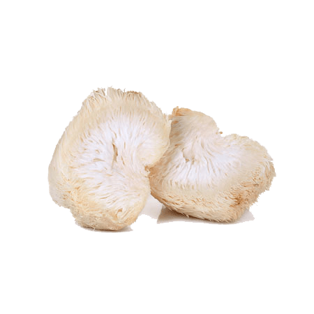 lions-mane