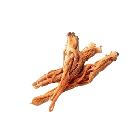 red-ginseng