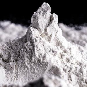 Acetyl-L-Carnitine