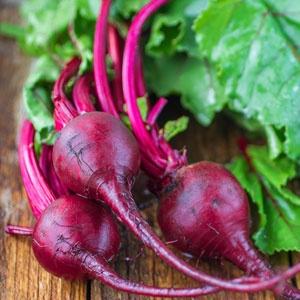 Beet Extract