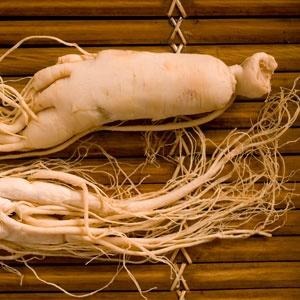 Red Panax Ginseng